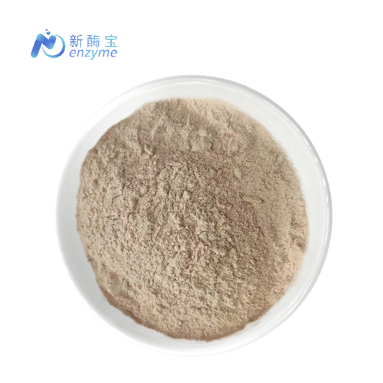 Amylase Powder