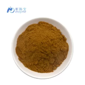 Lion`s Mane Mushroom Extract