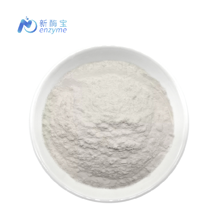 Lipase Powder