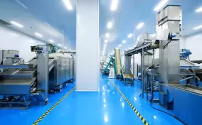 Raw Material Processing Room