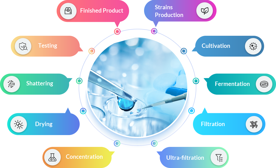 Fermentation Manufacturer Center